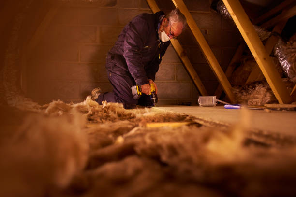 Types of Insulation We Offer in Ripley, WV